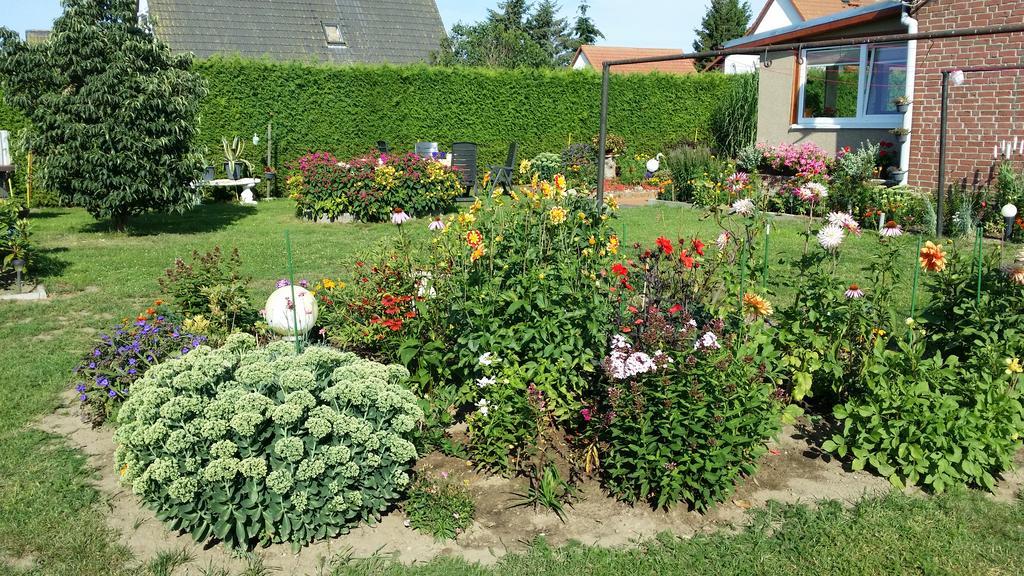 Ferienhaus Storchenweg Mahlzow Buitenkant foto