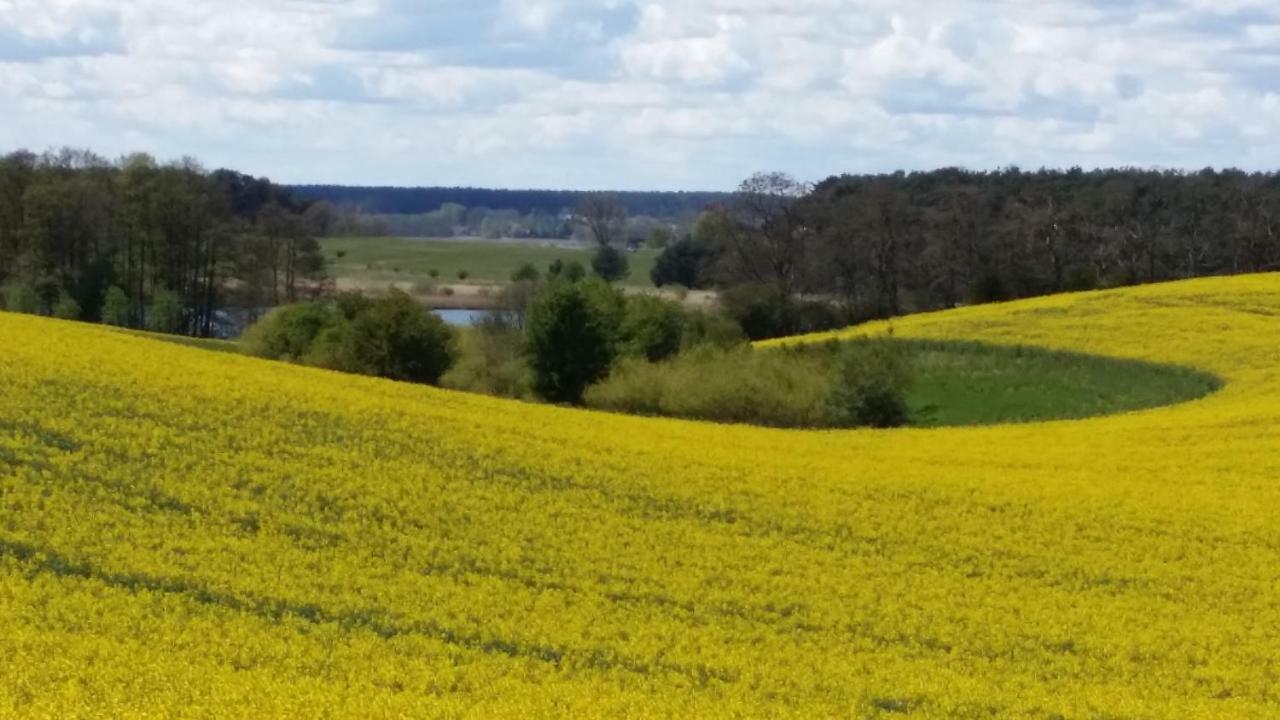 Ferienhaus Storchenweg Mahlzow Buitenkant foto
